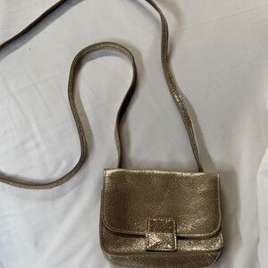 J. Crew Metallic Gold Crossbody Bag